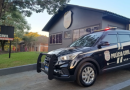 Homem é preso por praticar violência doméstica contra a própria mãe idosa