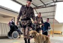Canil da Polícia Militar desenvolve dia de terapia com cão na Apae