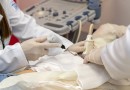 Técnica inovadora apresenta 100% de eficácia contra o câncer de mama