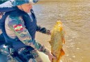 Polícia encontra rede de pesca clandestina durante período de defeso no Rio Uruguai