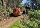 Trabalhador morre durante corte de árvore