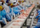 Reino Unido aumenta cotas para importação de carne de aves do Brasil