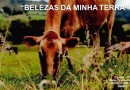 Concurso de fotografias vai premiar os cinco melhores colocados