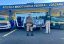Cerca de 30 mil maços de cigarros contrabandeados são apreendidos no Oeste de SC