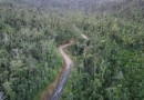 Avião desaparecido no Paraná é encontrado