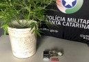 Mãe denuncia o próprio filho de 19 anos por tráfico de drogas em SC