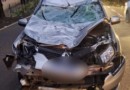 Carro colide com cavalo e deixa casal ferido na SC-283