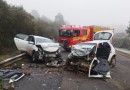 Motorista sofre ferimentos graves em acidente na BR-282
