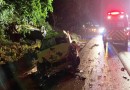 Motorista morre em colisão frontal entre automóveis na BR-282