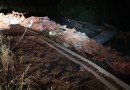 Motorista de caminhão morre após veículo sair da pista e capotar