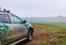 Polícia Militar do Paraná resgata mais de 200 animais e avança na proteção da Mata Atlântica