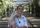 Importância do diagnóstico precoce e tratamento dos problemas ou doenças dos pets