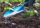 Análise biológica de solo incentiva agricultura regenerativa no Brasil