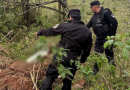 Mulher encontrada morta em área de mata é identificada como moradora de São Miguel do Oeste