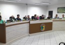 Projeto de lei sobre o remanejo de arborização é aprovado em primeira votação pelo legislativo