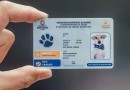 ‘RG animal’: registro passa a ser obrigatório por lei; entenda como funcionará a mudança