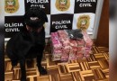 Operação da Polícia Civil resulta na apreensão de pistola e maconha