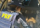 PRF intercepta comboio que transportava 120 quilos de maconha na BR-282