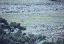 Madrugada de terça-feira pode ser a mais fria do ano até agora, aponta Defesa Civil de Santa Catarina