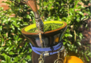 Entre dicas saudáveis para o inverno: tomar chimarrão no sol