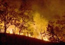 Incêndios causam prejuízos de mais de R$ 14 bilhões no campo