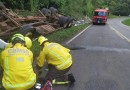 Falha mecânica faz caminhão de Chapecó capotar em rodovia