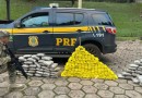 PRF apreende quase 200 quilos de drogas e recupera carro roubado na BR-282