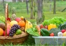 Santa Catarina lidera em Segurança Alimentar, aponta pesquisa