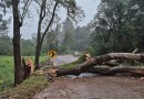 Temporal com ventos fortes causa estragos em cidades do Extremo-Oeste de SC