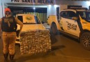 Jovem de Chapecó é preso em rodovia do PR com 216 kg de maconha
