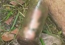 Homem descobre pênis decepado dentro de pote no jardim da casa da mãe