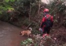 Corpo de bebê levado pela correnteza em Pato Branco é encontrado