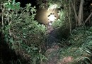 Motorista fica ferido em saída de pista e capotamento na BR 163