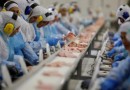 Exportação de carne bovina tem novo recorde e aumenta 34% em um ano