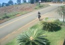 Homem armado com facão assalta um estabelecimento comercial e foge do local