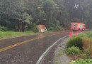 Caminhão sai da pista e pega fogo em São Carlos
