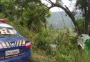 Menina de 7 anos morre após caminhão cair em ribanceira