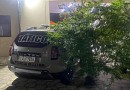 Viatura da PM levando pé de maconha ‘gigante’ chama a atenção