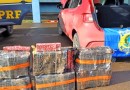 PRF apreende quase 100 quilos de maconha em carro e prende motorista no Oeste Catarinense