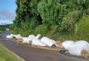Carreta tomba e carga fica sobre a pista na BR 163