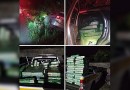 PMRv apreende mais de 700 quilos de maconha