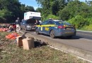 Homem é preso após furtar cebolas caídas em rodovia