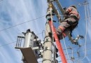 Pássaro causa curto-circuito e deixa mais de 350 imóveis sem luz