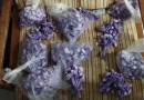 Ação policial apreende 1,1 mil porções de cocaína e desmantela esquema de delivery de drogas