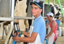 Curso para jovens impulsiona a produção de leite à base de pasto no Oeste Catarinense
