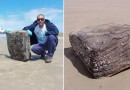 ‘Caixa misteriosa’ da Segunda Guerra Mundial aparece em praia de SC