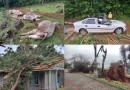 Três municípios de SC decretam situação de emergência após ciclone devastar Oeste