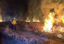 Bombeiros atendem incêndio de grandes proporções em vegetação