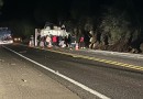 Caminhão carregado com 27 toneladas de frango congelado tomba e carga é saqueada