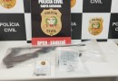 Idoso de 73 anos é preso com revólver e espingarda